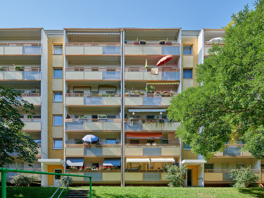 Harthaer Straße 60, 01169 Dresden