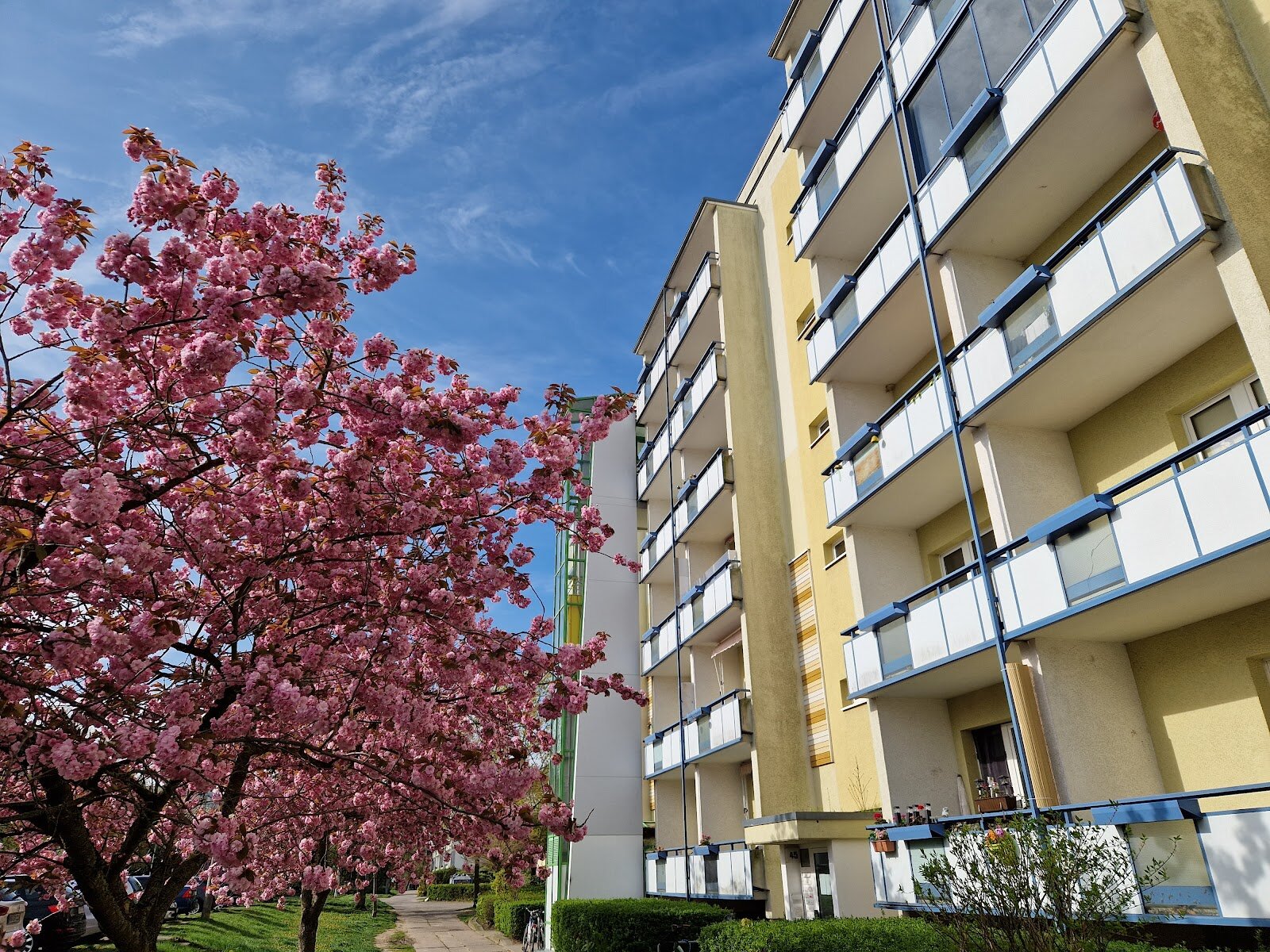 Rasgrader Straße 43, 17034 Neubrandenburg