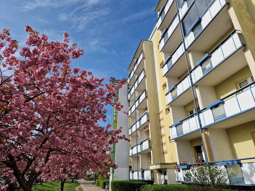 Rasgrader Straße 43, 17034 Neubrandenburg