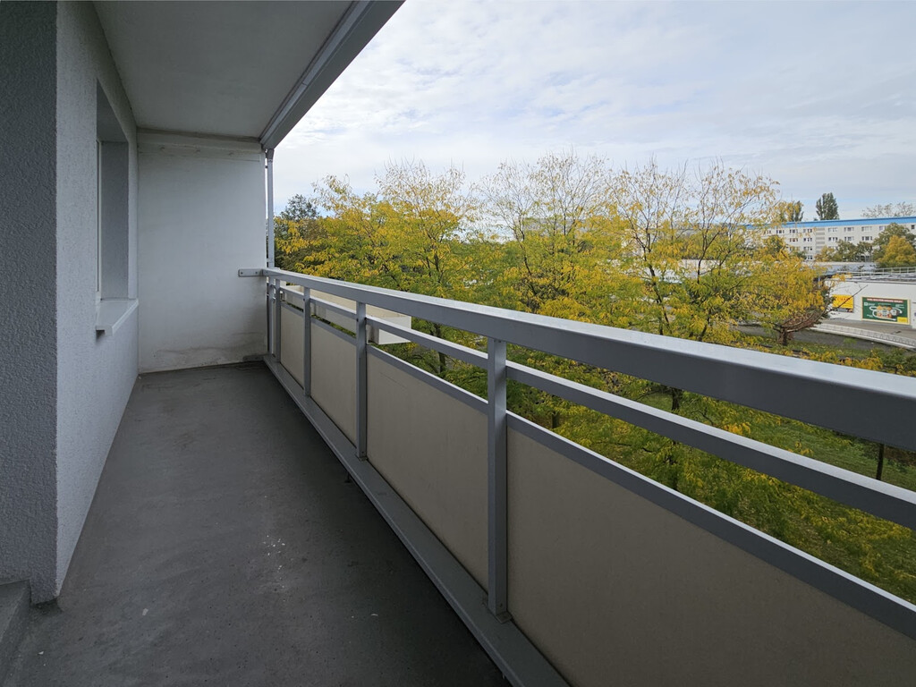 Zerbster Straße 31, 06124 Halle (Saale)