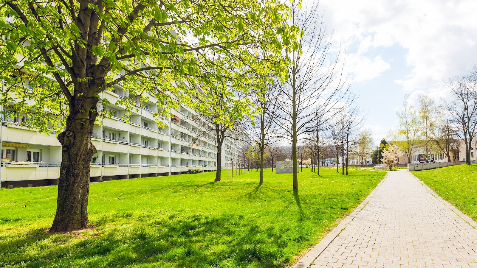 Zerbster Straße 31, 06124 Halle (Saale)