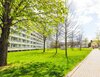 Zerbster Straße 31, 06124 Halle (Saale)