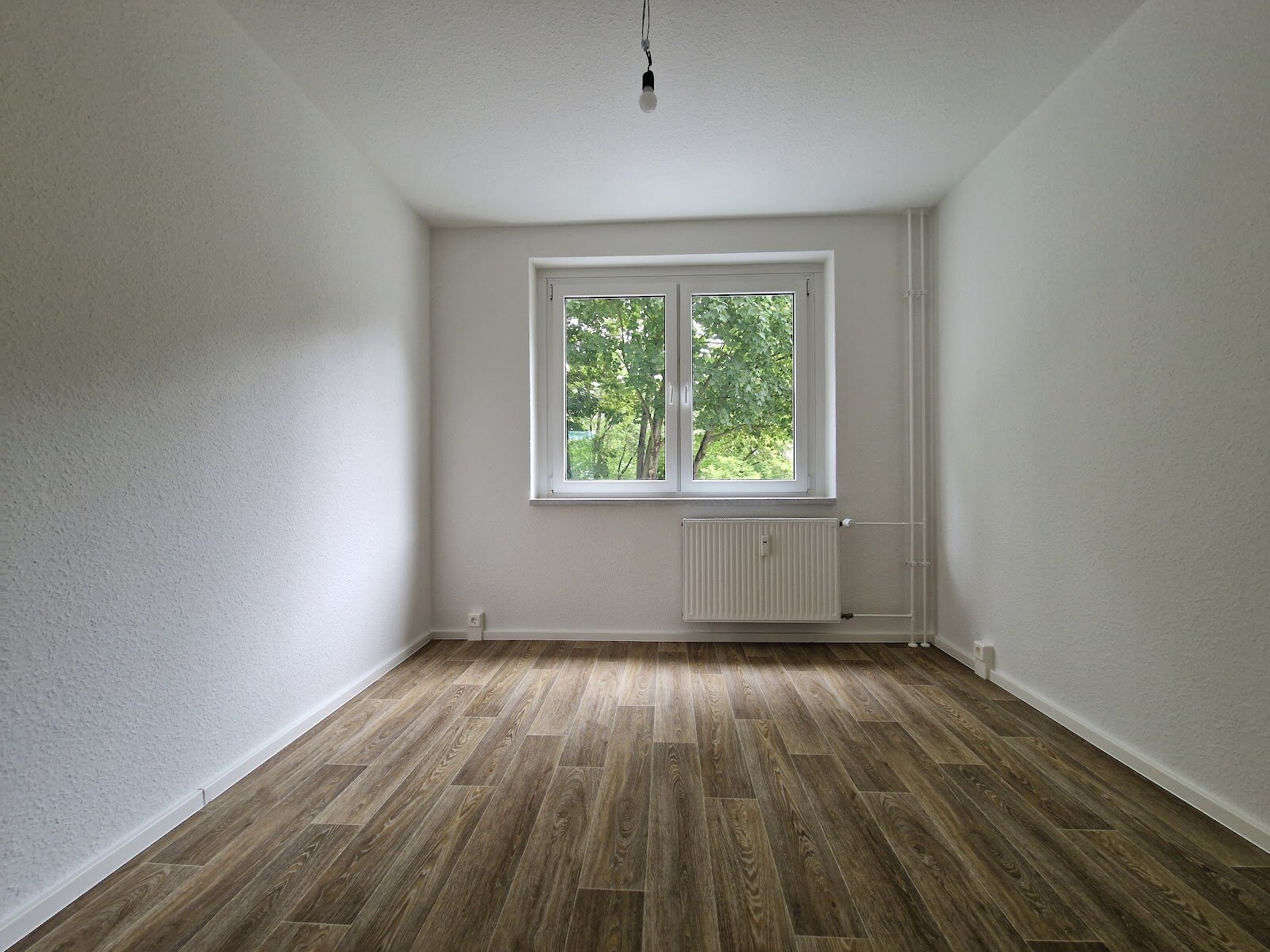 Zerbster Straße 37, 06124 Halle (Saale)