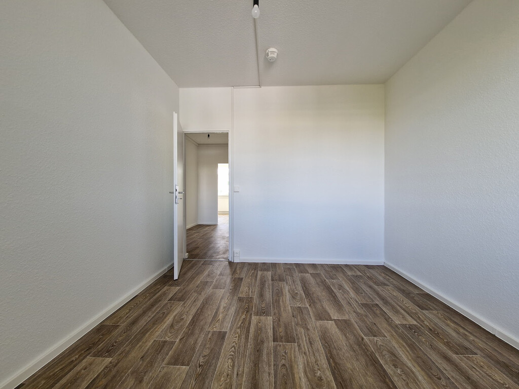 Richard-Paulick-Straße 9, 06124 Halle (Saale)