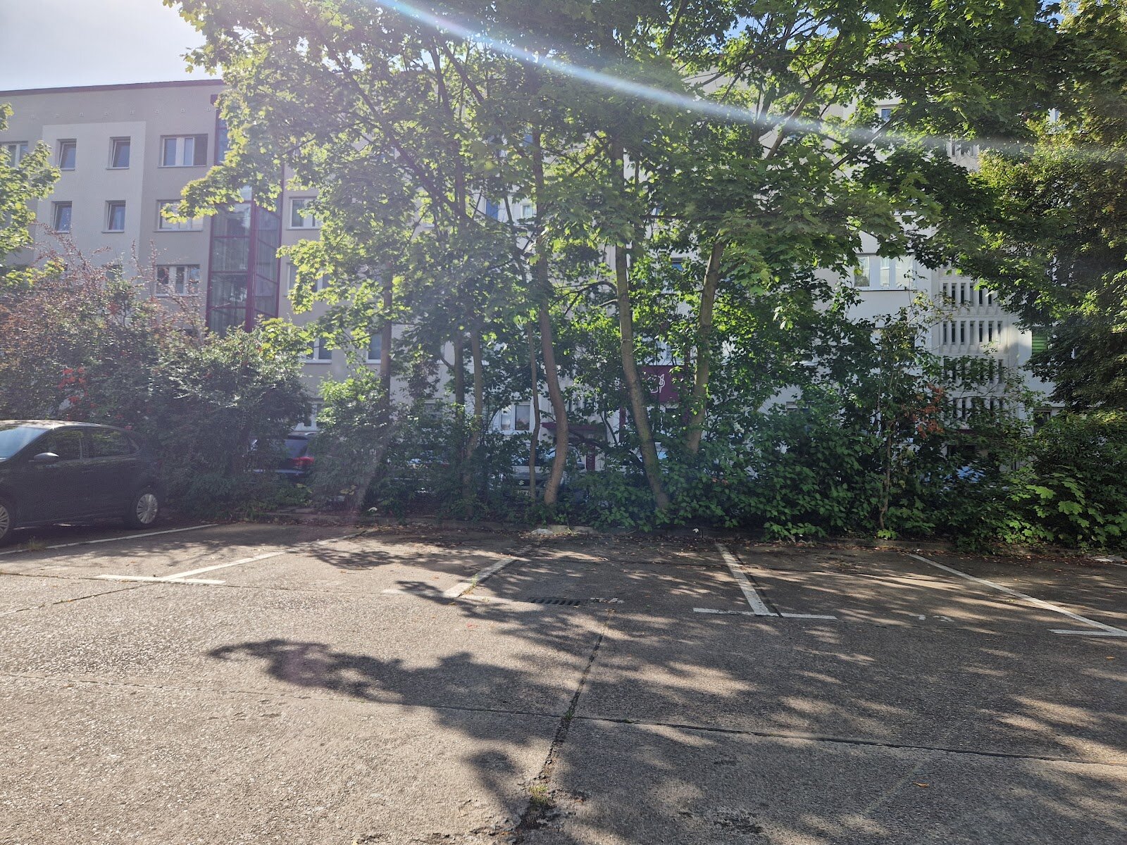 Richard-Paulick-Straße 5- 6, 06124 Halle (Saale)