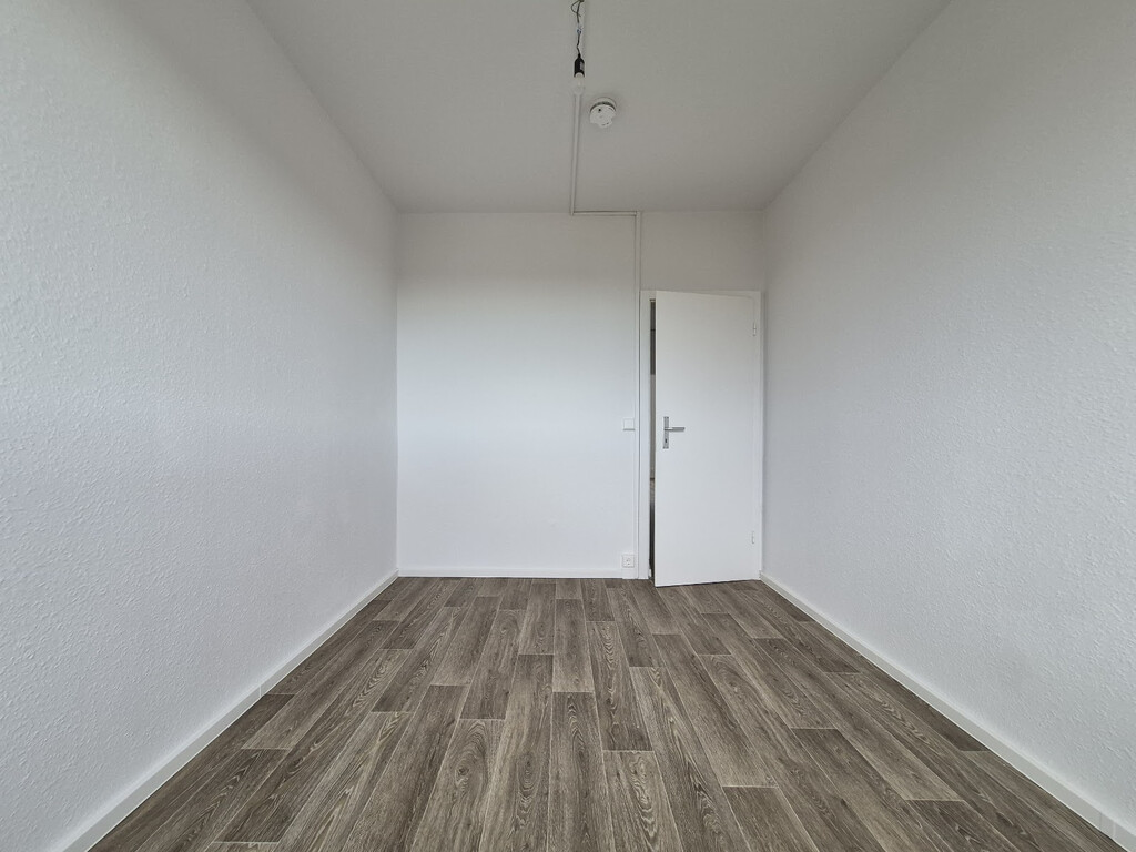 Carl-Schorlemmer-Ring 26, 06122 Halle (Saale)