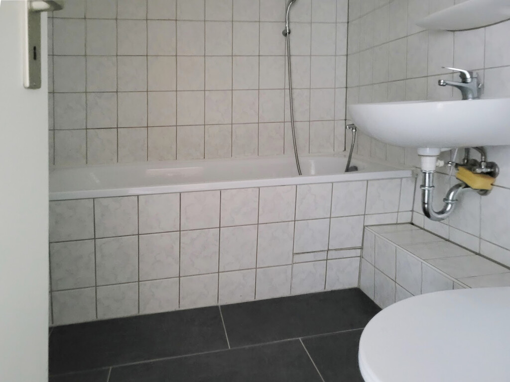 Carl-Schorlemmer-Ring 28, 06122 Halle (Saale)
