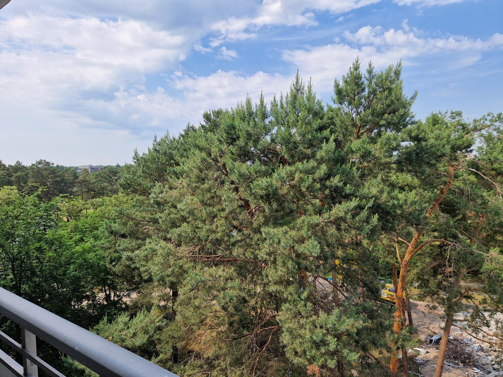 Herderstraße 62, 03050 Cottbus