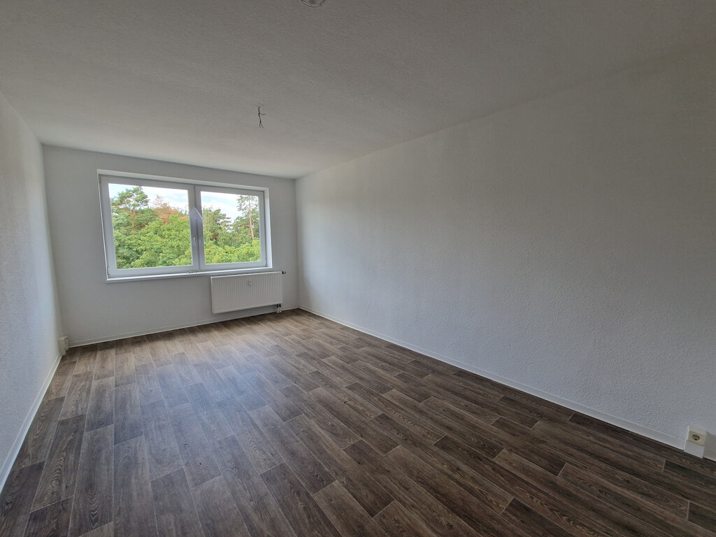Birkenallee 13, 06862 Dessau-Roßlau