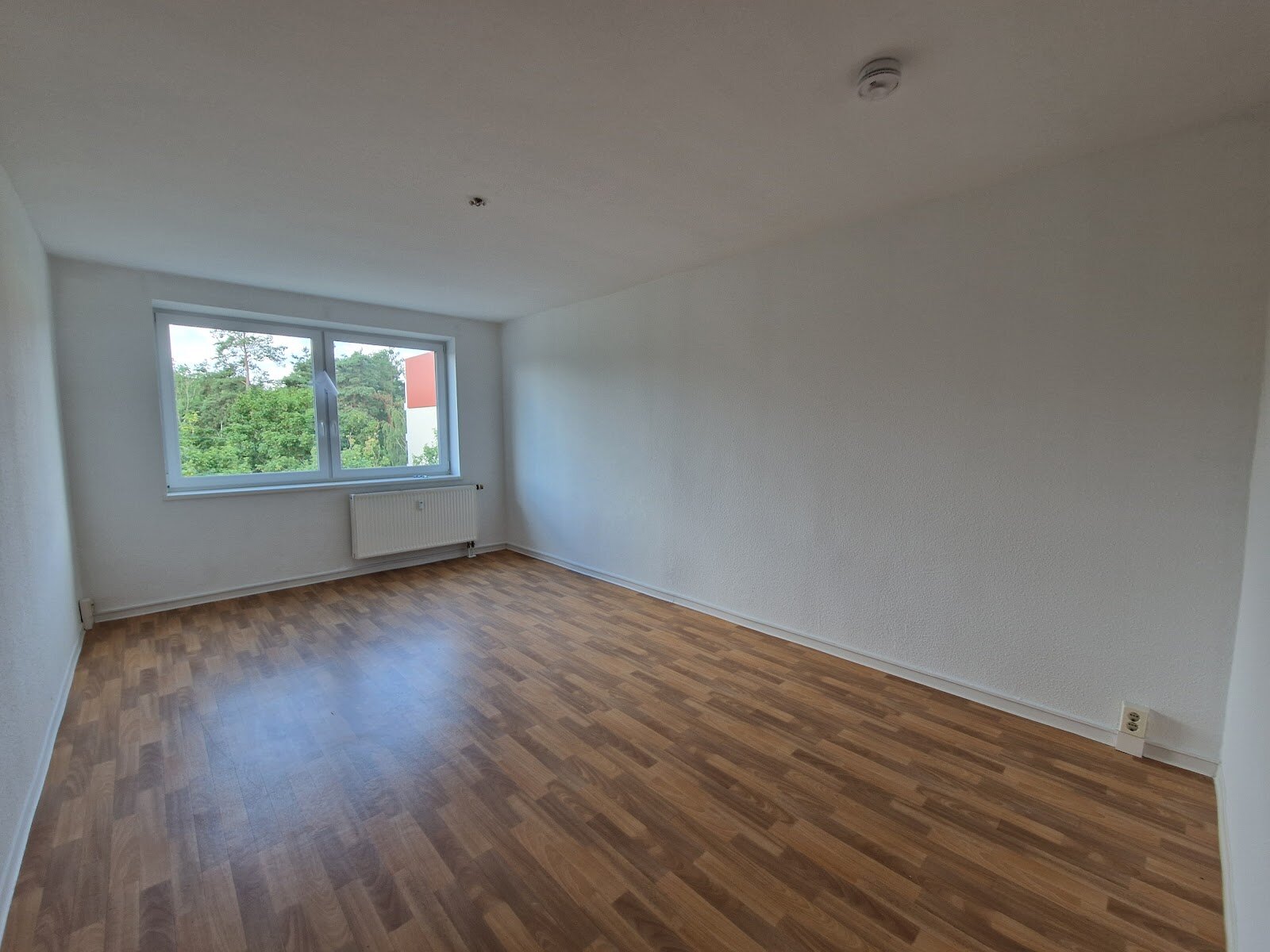Birkenallee 13a, 06862 Dessau-Roßlau